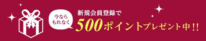 新規会員登録で今ならもれなく500ポイントプレゼント中!