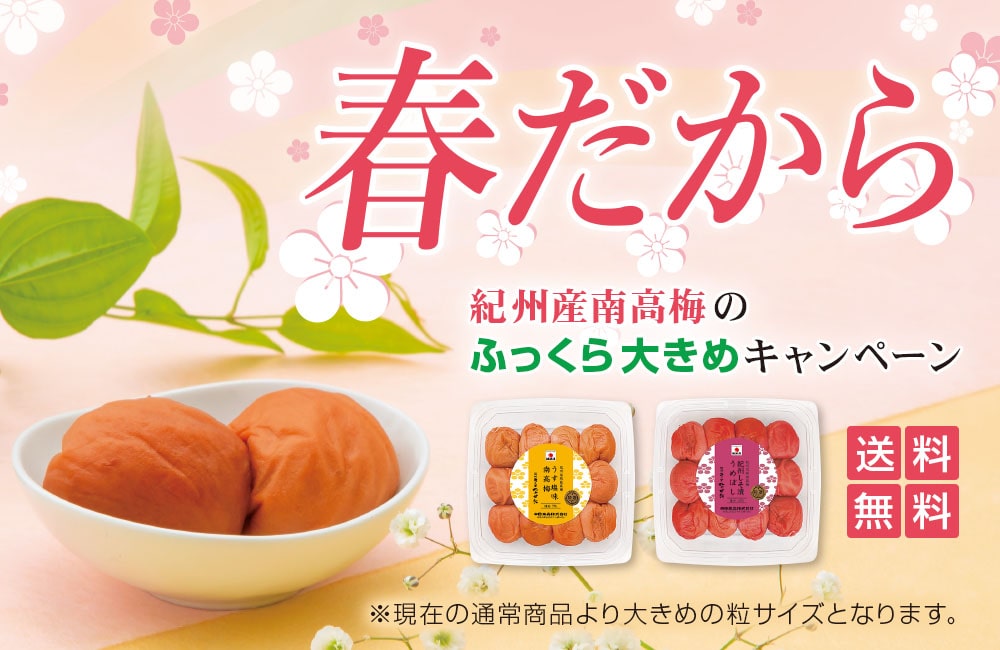 《春だから》紀州産南高梅のふっくら大きめキャンペーン♪