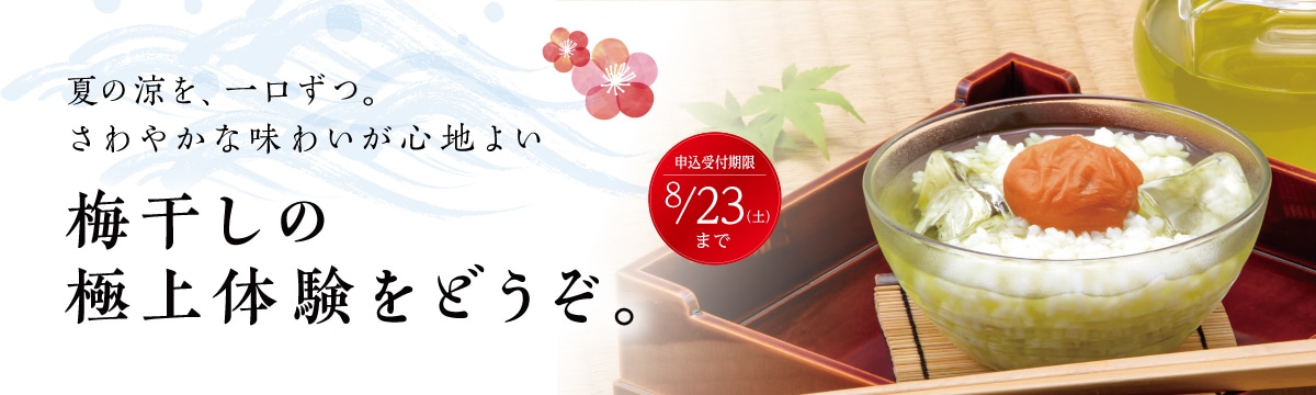 ニッセンチラシ限定