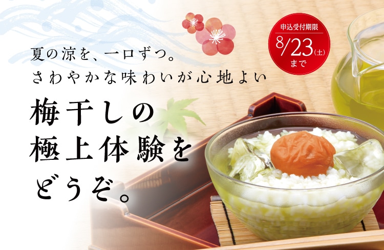 ニッセンチラシ限定