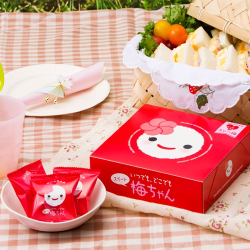 いつでもどこでもスイート梅ちゃん:梅製品|【紀州梅の里なかた
