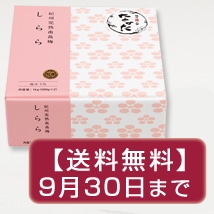 【紀州産南高梅】しらら 1kg
