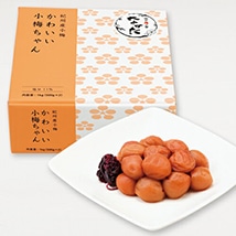 【2025年1月11日から販売休止】【紀州産小梅】かわいい小梅ちゃん 1kg