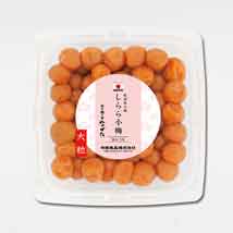 【紀州産小梅】しらら小梅 -大粒小梅-　300g