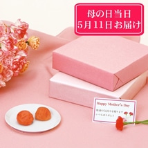 【5月11日お届け】母の日 梅干セット