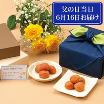 【受付終了しました】【6月16日お届け】父の日 梅干セット