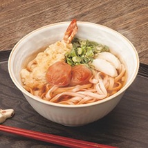 【数量限定】梅うどん 《乾麺》
