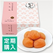 【定期購入】紀州産南高梅 しらら 1kg