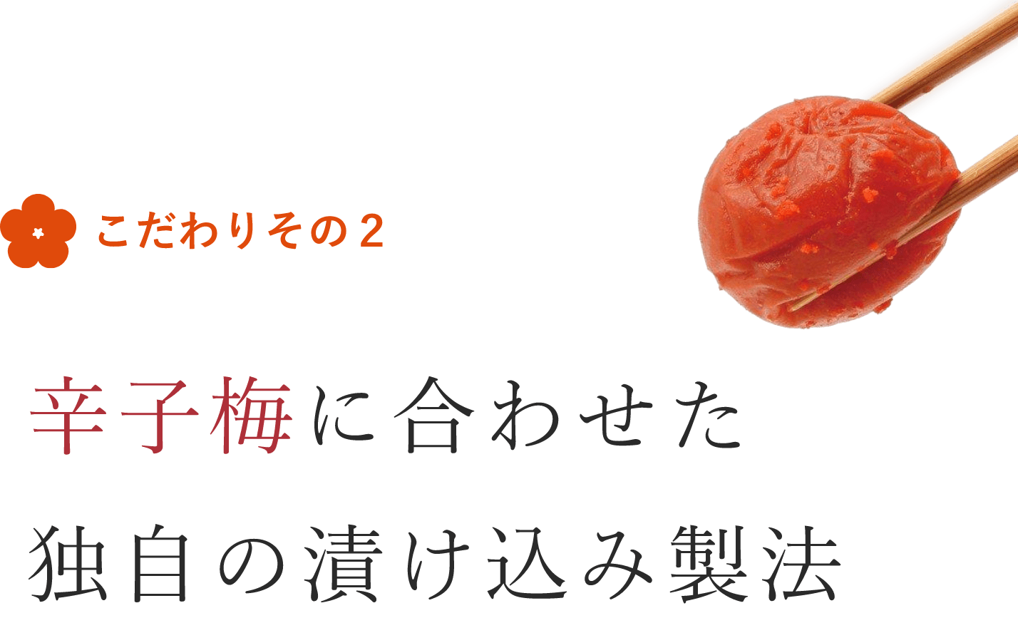 こだわりその2 辛子梅に合わせた独自の漬け込み製法