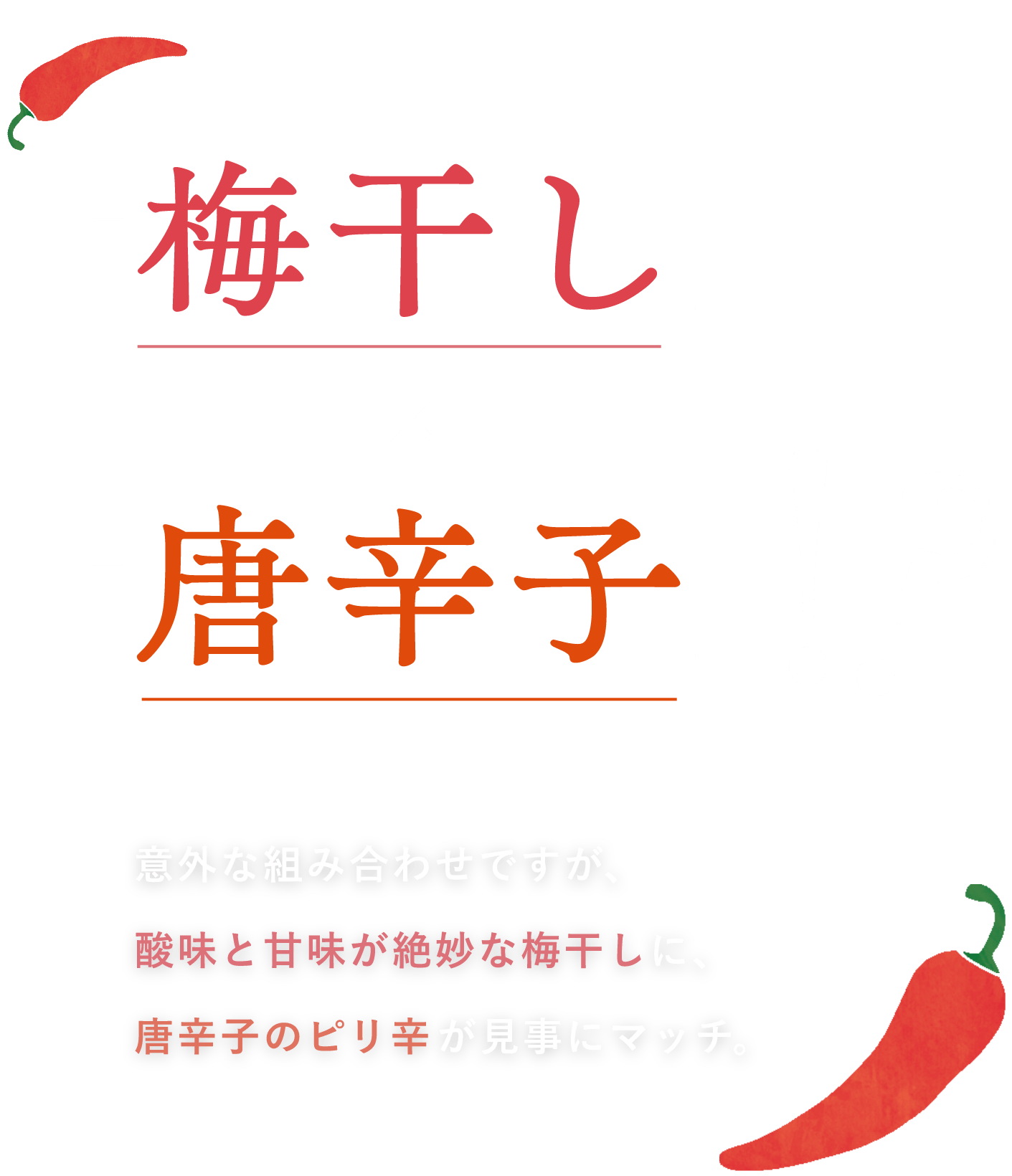 梅干し x 唐辛子 意外な組み合わせですが、酸味と甘味が絶妙な梅干しに、唐辛子のピリ辛が見事にマッチ。