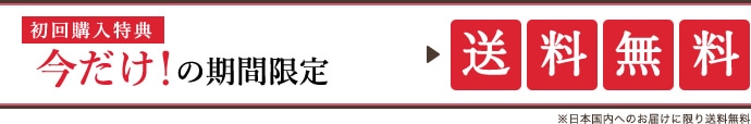 期間限定特典 送料無料