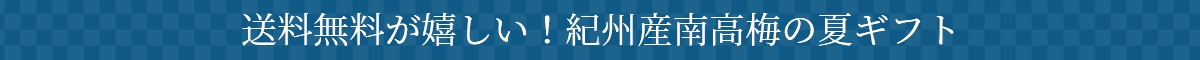 送料無料が嬉しい！紀州産南高梅の夏ギフト