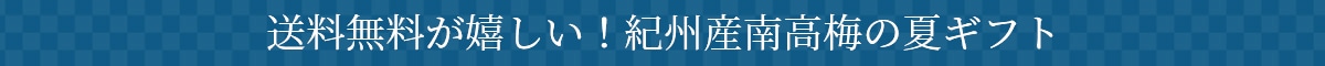 送料無料が嬉しい！紀州産南高梅の夏ギフト