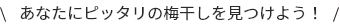 あなたにピッタリの梅干しを見つけよう！