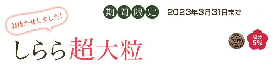 しらら超大粒550g販売開始