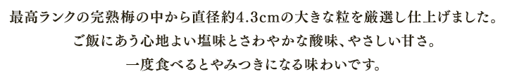 ※最高ランクの完熟梅の中から直径約4.3cmの大きな粒を厳選し仕上げました。ご飯にあう心地よい塩味とさわやかな酸味、やさしい甘さ。一度食べるとやみつきになる味わいです。