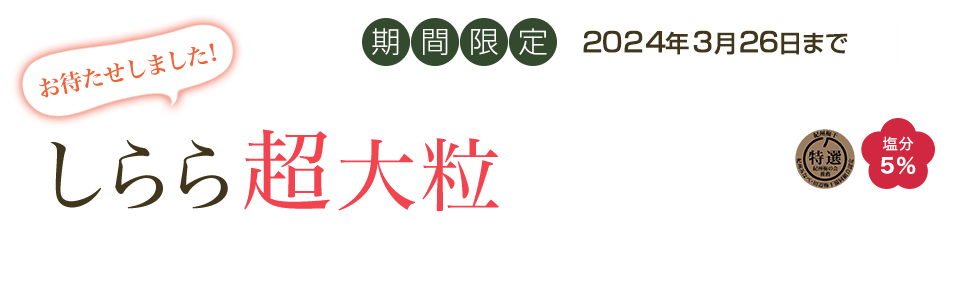 しらら超大粒550g販売開始