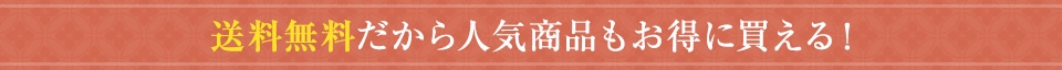 送料無料だから人気商品もお得に買える！