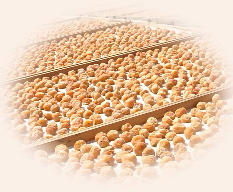 紀州南高梅しらら｜【紀州梅の里なかた】オンラインショップ