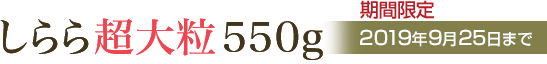 しらら超大粒550g
