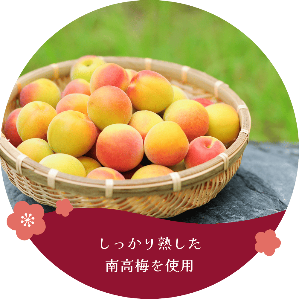 しっかり熟した南高梅を使用