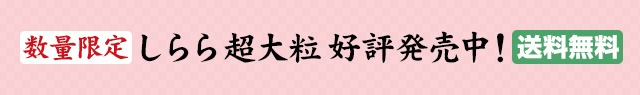 春のお買い得商品 しらら超大粒