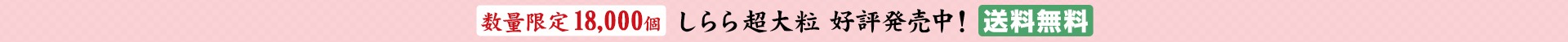 春のお買い得商品 しらら超大粒