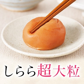 しらら超大粒550g販売開始