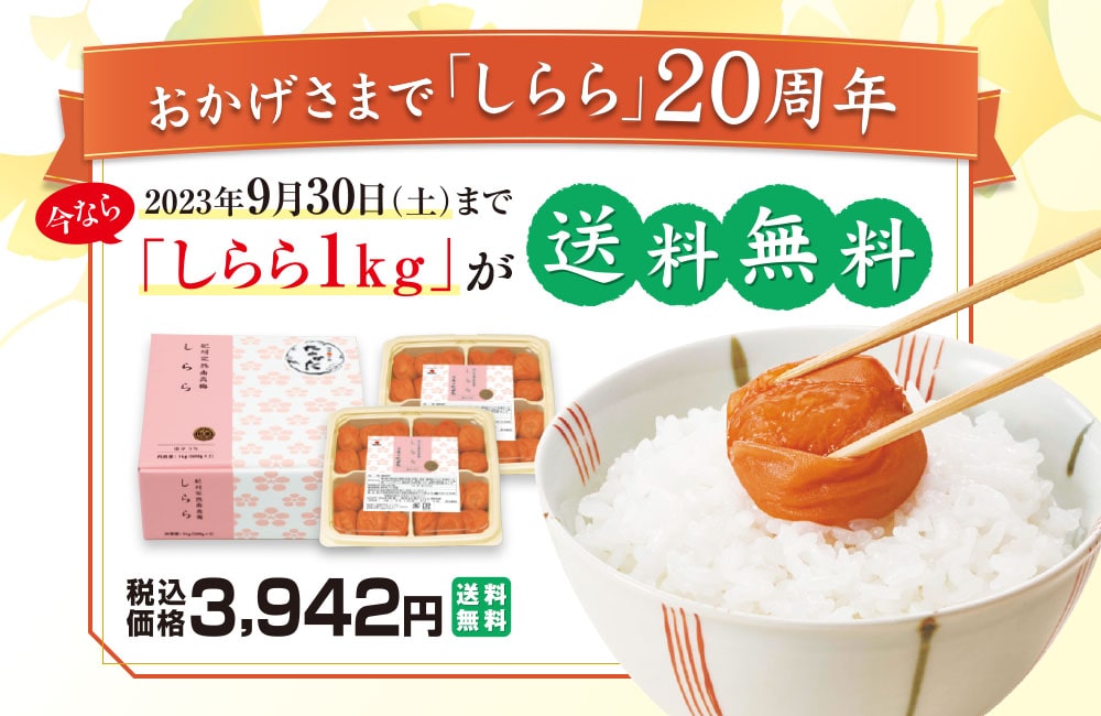 しらら1kg送料無料