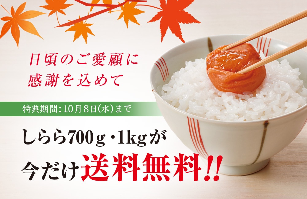 しらら送料無料