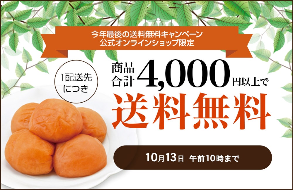 工場直送 まとめ販売 中田食品 紀州南高梅 梅なでしこ 500g×8個 ogresvetambulance.lv