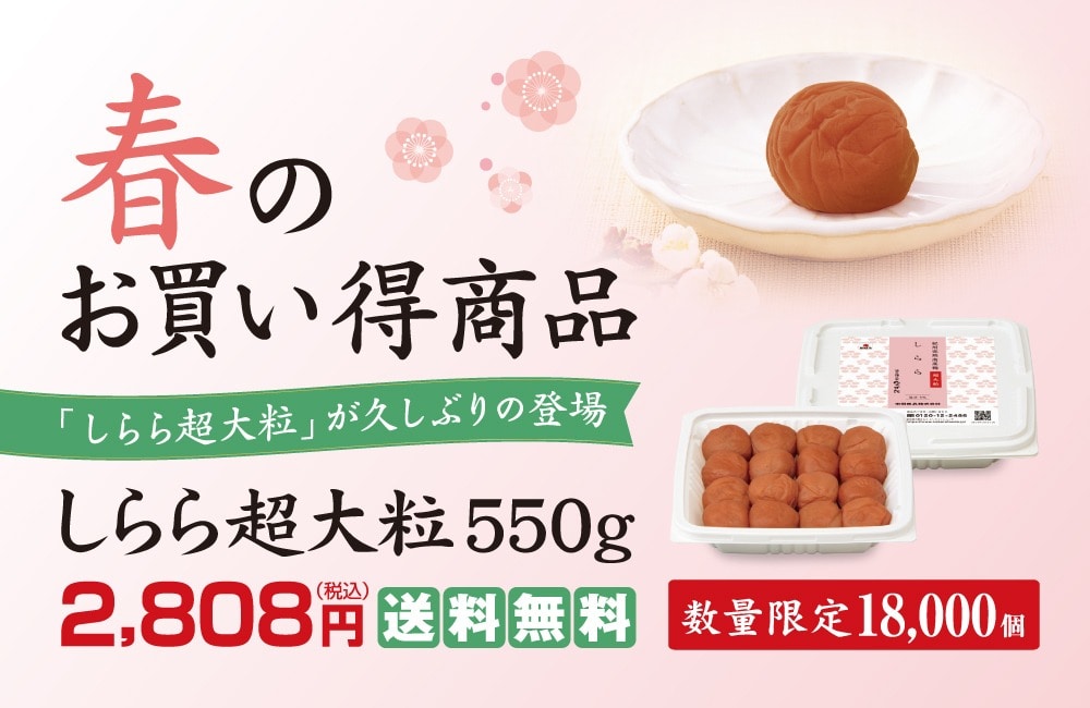 ネットしらら超大粒